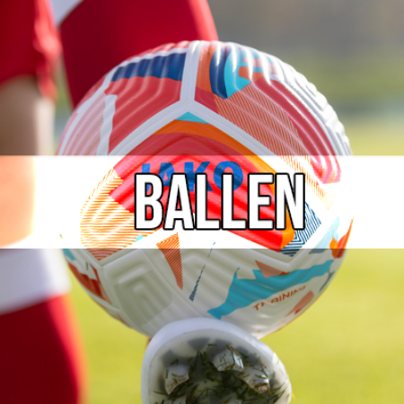 Afbeelding voor categorie Ballen
